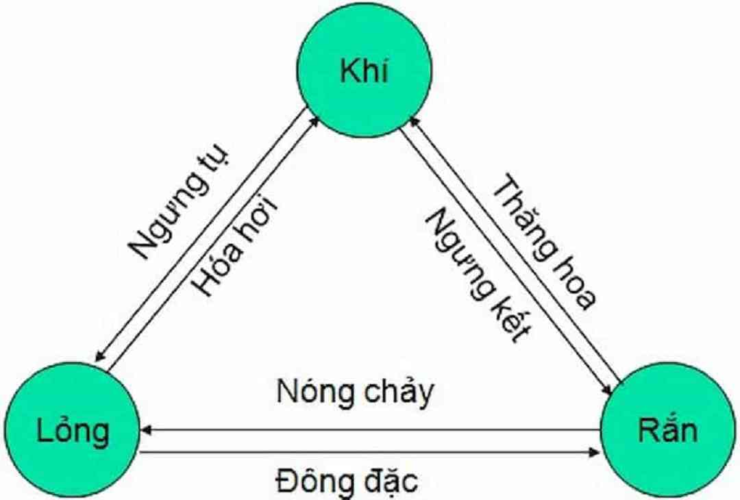 Tổng quan về cơ chế vận hành của máy hóa hơi